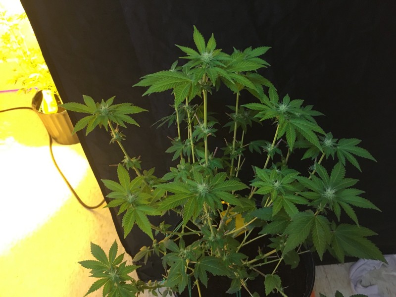 31C3D755-B72E-4B07-BCB8-F8077B163C8E