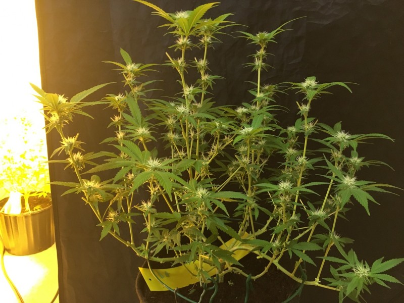 B543AEAE-63D1-4E16-BF34-E0F6FF441732