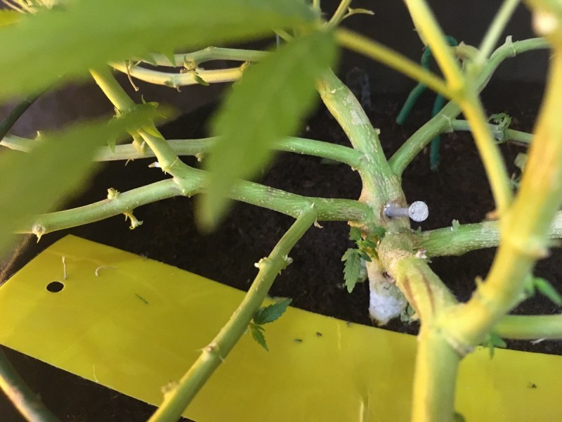 D4EDFCA4-CBB7-4636-BB1A-201E482E6EA6