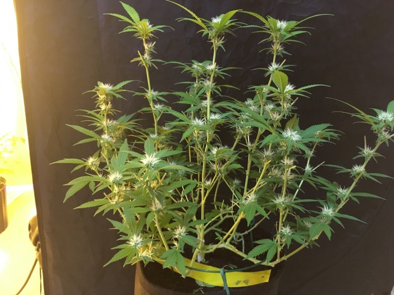 0A72D6D7-505A-474F-858E-71C1324C4B94