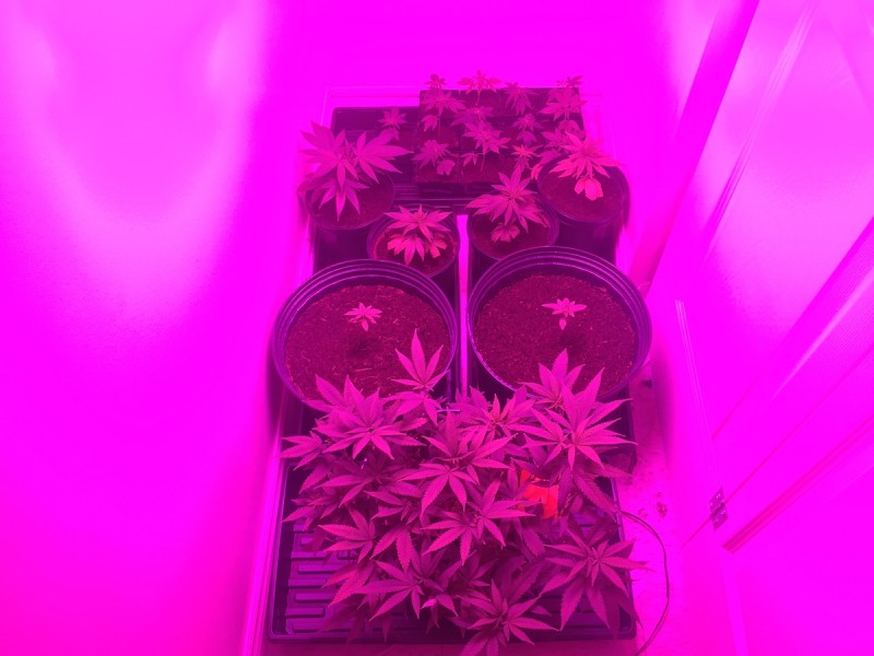 551421D6-6781-410E-BB20-7AE86BFD9602