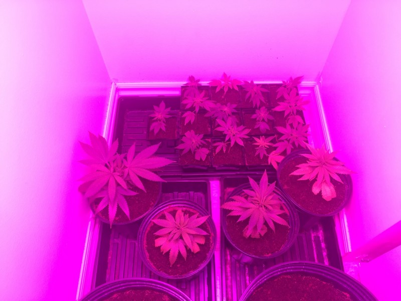 FBED9E76-A6A7-4307-B0B6-9000F0022A4A