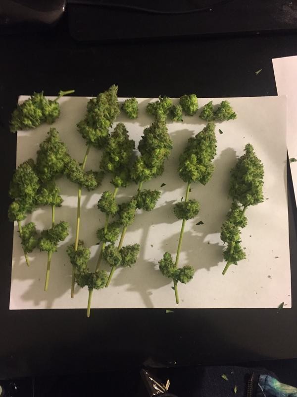 D674_C845-0_B09-41_B6-_BB8_C-_FD471_D840_F4_A