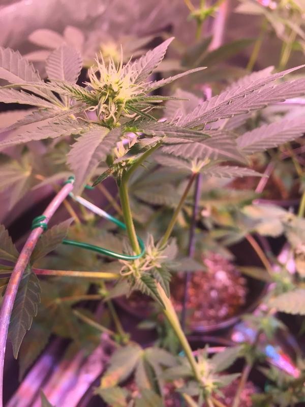 F0_BEB088-8_B69-4235-8807-_D8368401_FE05