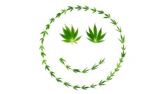 Cannabis-happy-days