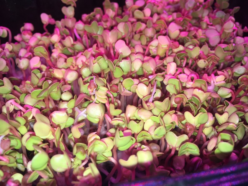 6EDC8494-C6EB-47DE-A5A8-D045B609AB2E