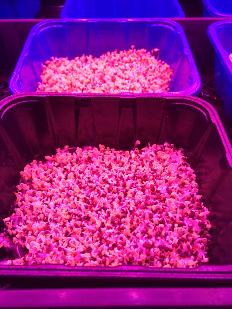 E26F106F-4C2C-488F-903C-C2744C314972