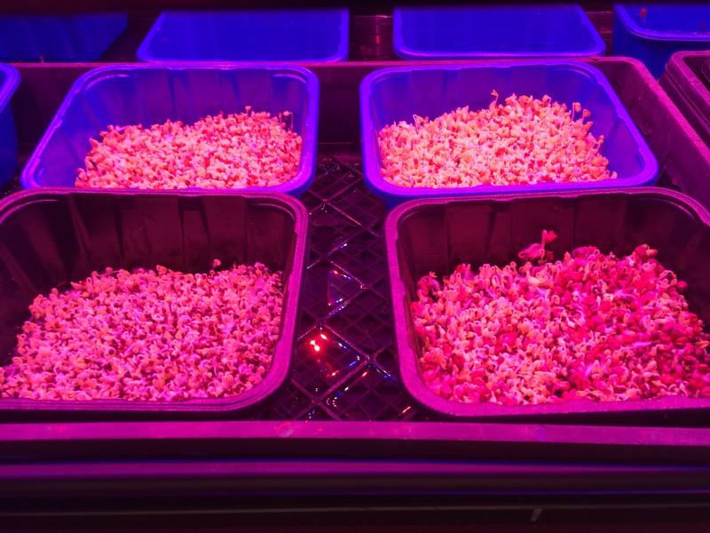 DFDA6D92-4B72-4CFE-A85C-EFDE190B8FA1