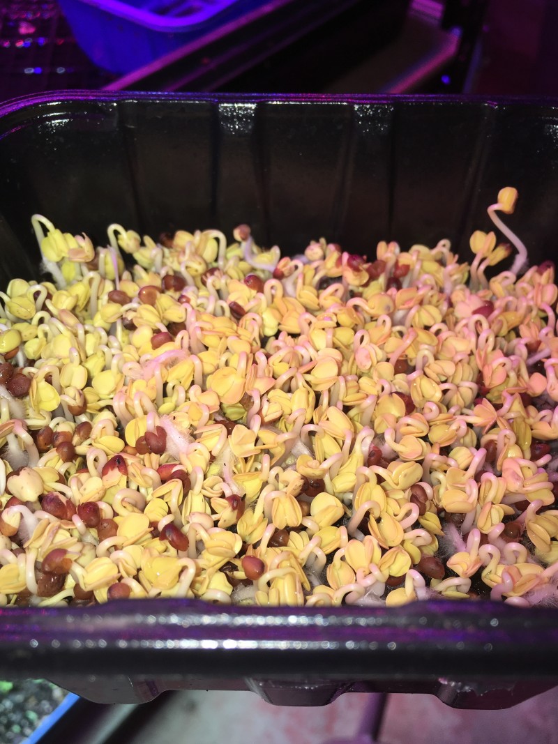 18B48FEB-C832-4B56-89CF-DE138BB37A3B