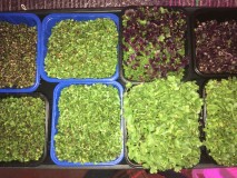 8F198B46-E333-496A-9DD6-E264A9CE882C