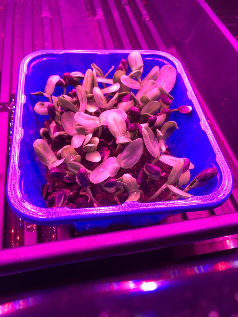 F8B87129-B9F3-4FD6-92EC-7A9AC0E2E6CA