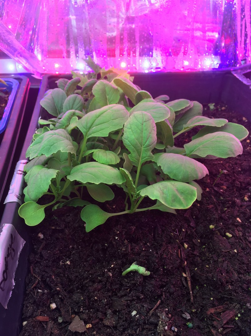 24E9E70D-C182-4686-AF2B-8E7A474B3868