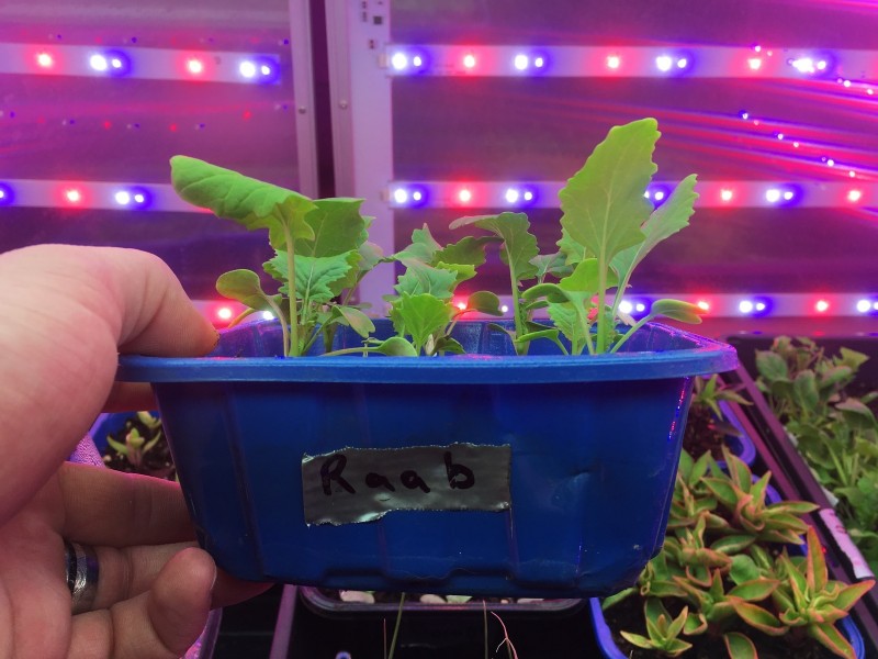 32042EE9-DA88-4C3C-8771-4B51C75DEC5E