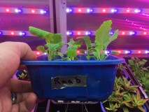 32042EE9-DA88-4C3C-8771-4B51C75DEC5E