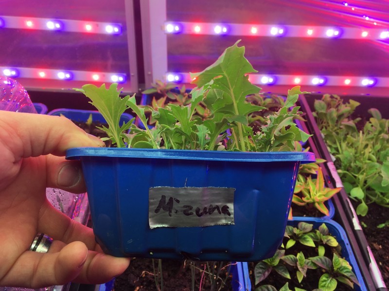 E038F907-65F2-4510-91DC-5DC717CBC163