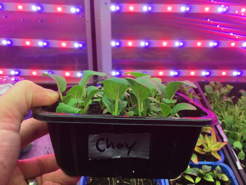 9456B086-1A7C-4330-B647-946641A8AD56