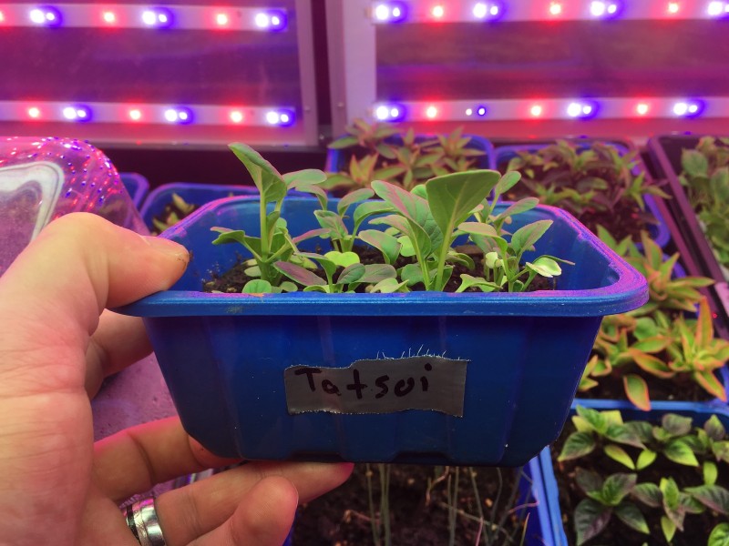 22E14A09-0A79-430D-933C-C80F4D1130D6