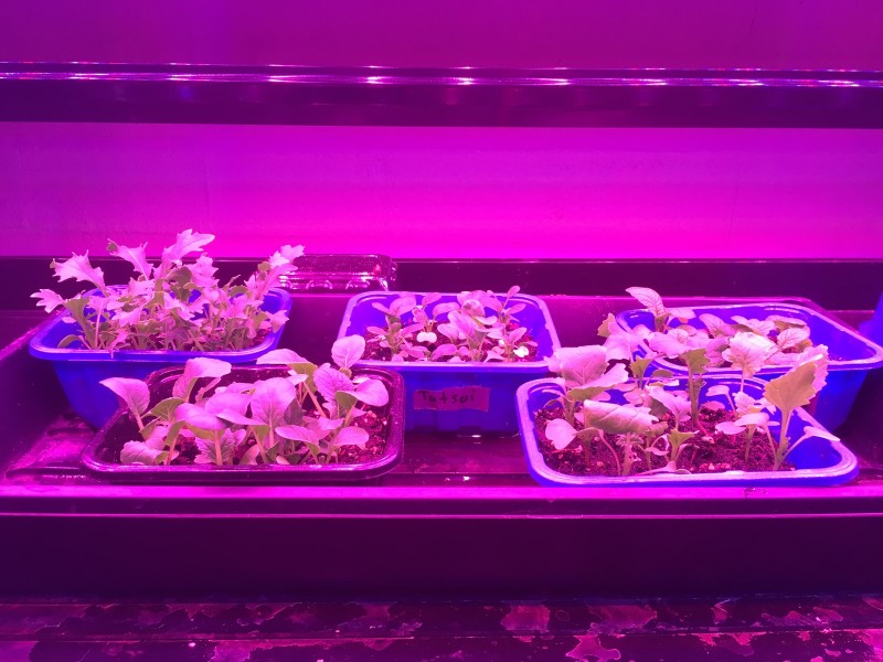 6BEC95AD-39B6-41A3-AF97-6D28CCFC9062