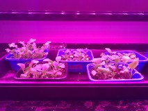 6BEC95AD-39B6-41A3-AF97-6D28CCFC9062