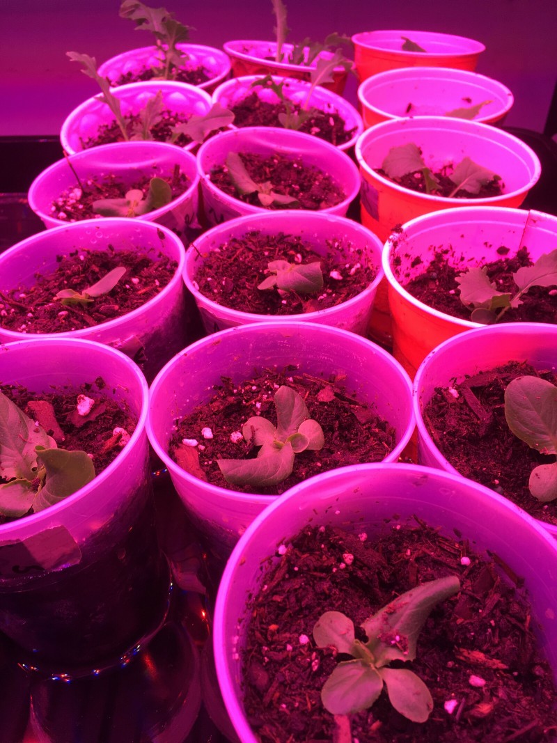 112B1C50-4527-4EFD-B525-19A80FFB09C9