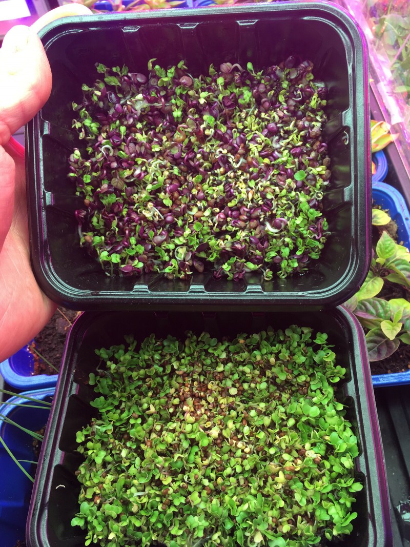 38EEB216-6C2A-4589-964D-1C05185E7E6D