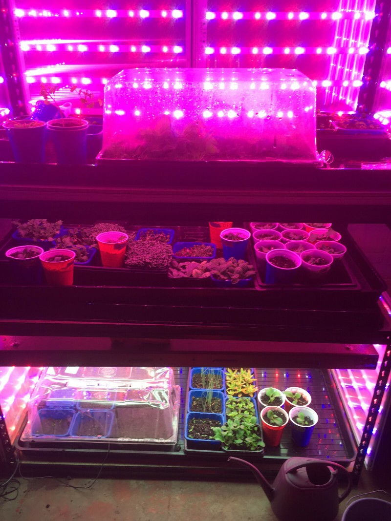 DDBF88B1-DA81-4202-902B-84FFD48A801C