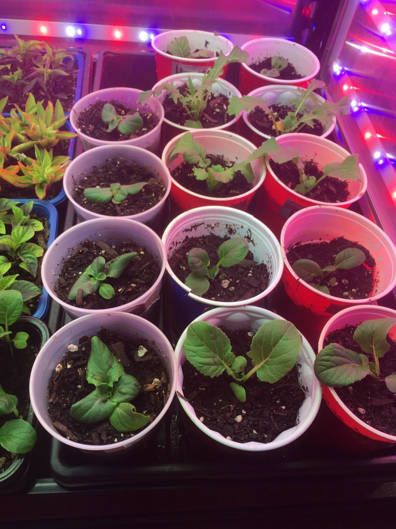 A40F0898-5BA6-4BED-A374-2819F5E75BF1