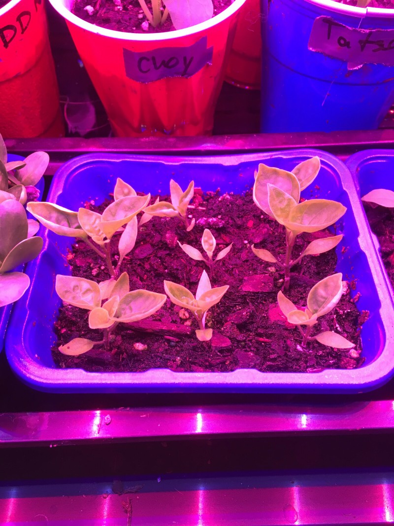 D810544B-BD93-4E8C-B26F-C39B0FB40ED6