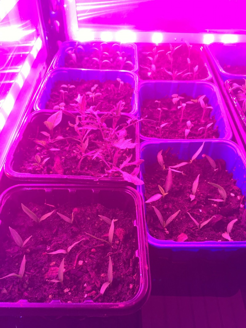 3019CF19-02F3-4CC8-9D93-61265D081F54