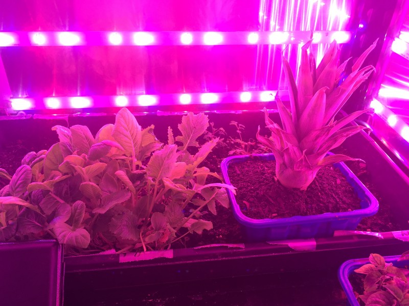 C3F90B53-2FC8-4283-A057-20500F6AF786