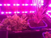 C3F90B53-2FC8-4283-A057-20500F6AF786