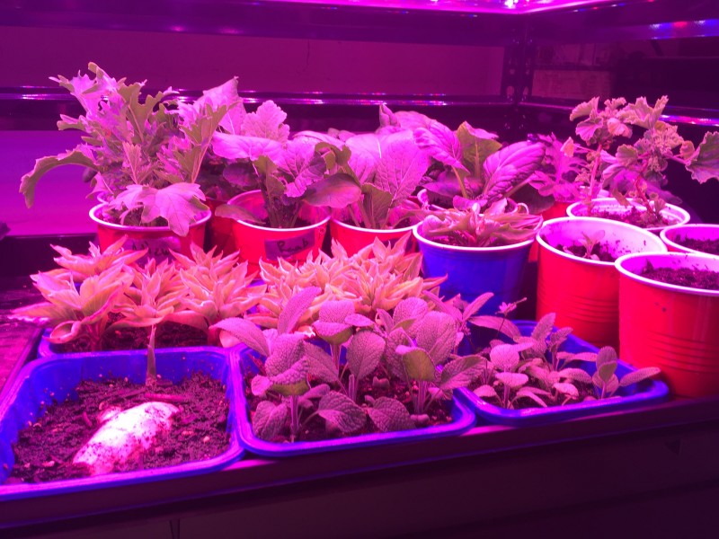 E72EFA0A-8AC8-48BD-BEB6-F56FB08B5A51