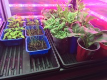 E8FEE68F-FEE2-48F3-A7BA-07F75BA0CC1B