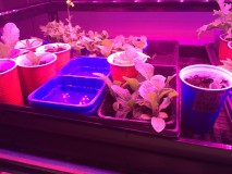 59C1FB79-68E0-4D55-A9AD-1C3A8ECCBF15