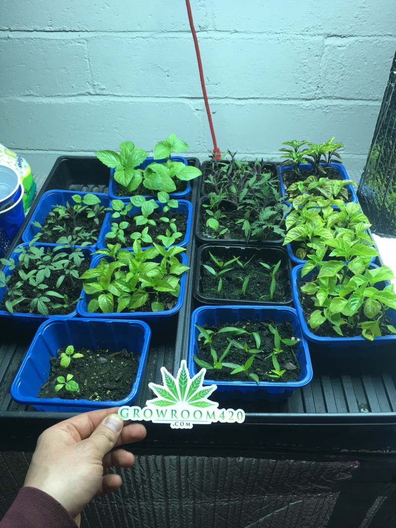 68B360FB-8138-456B-9E0E-02E902176D74