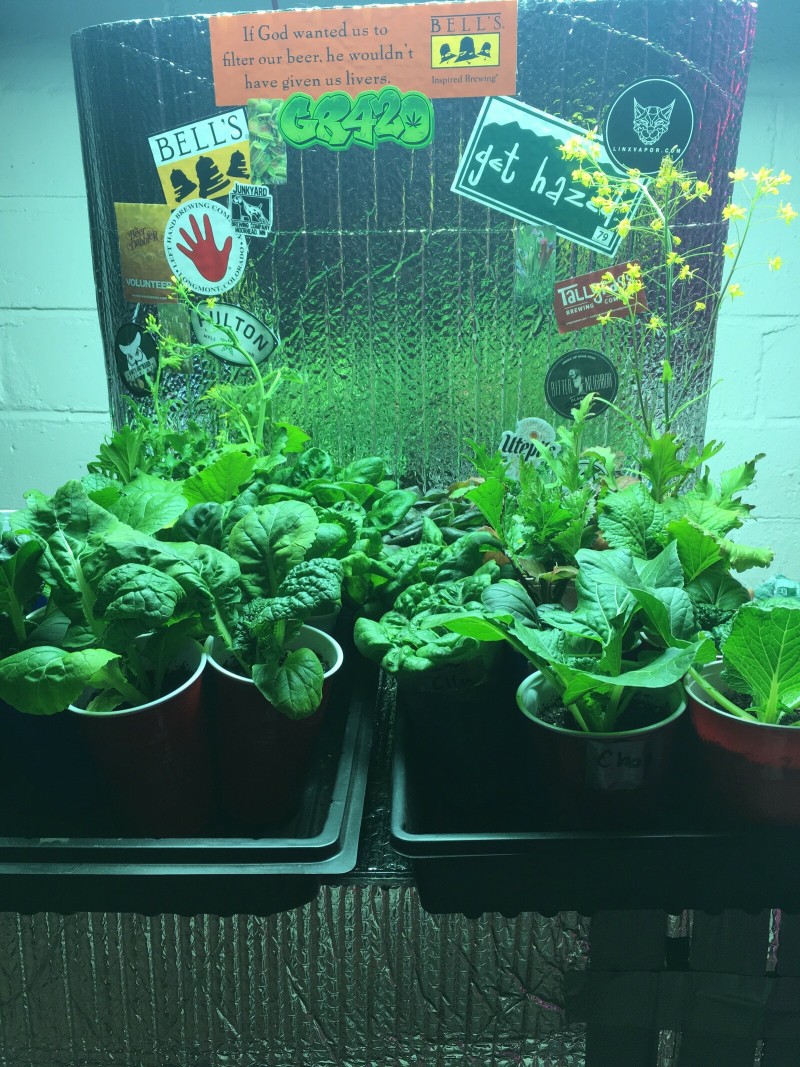 0D395E35-FAC2-49C5-B1B1-66F41E846568