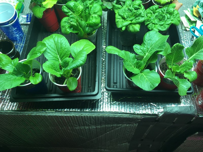 77B2F759-5CFB-4846-880B-D8779E5B2EBA