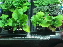 FB90DB1E-AF45-461A-BCEE-45141C1375AB