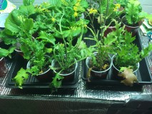 1825ECAB-8A39-4F73-913D-E00F03C11ED1