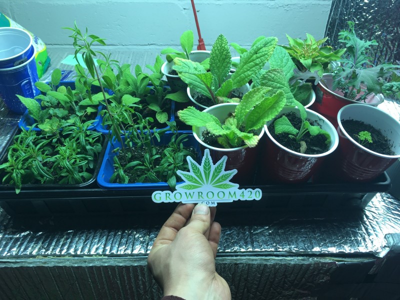 C62DE8EB-1E70-4E70-82CE-5C7EC7A0CF15