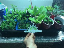 C62DE8EB-1E70-4E70-82CE-5C7EC7A0CF15