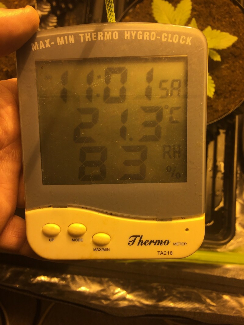 5153E6D2-8F11-4C50-BF0B-8383054EAF02