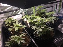 FF489195-275D-4398-8EDF-9D27CAD87F8F