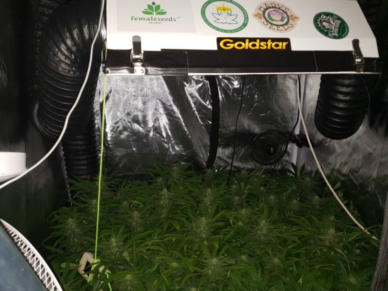 a4b1fa5fc37143c4ed35841820f2a23f