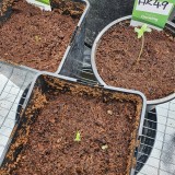 IMG_20200425_145357_173