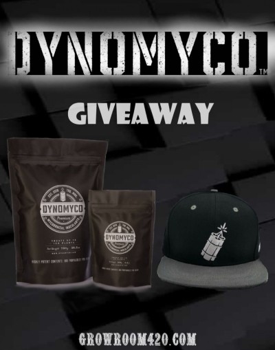 dyno giveaway