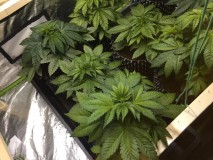 997212D8-AF38-4DED-84BA-501C76C5B2AC