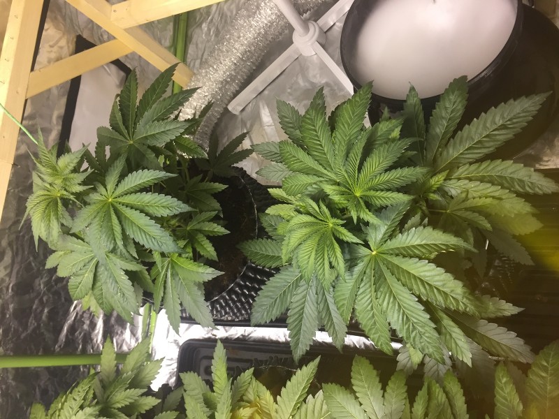 AA733068-B29B-42B4-8CE5-F1EDAEFA9993