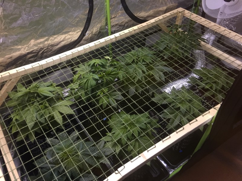 349C3989-D7B0-4A52-B971-3FC0BBCB9735