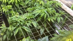 4A88D9FF-A212-4378-85D4-FF079AA46A5F